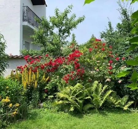 Apartamento Watzmannog *